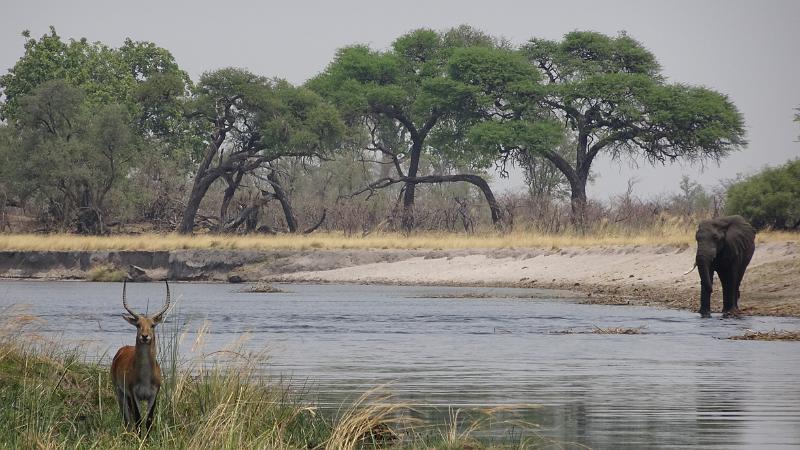 20160929_132725.JPG - 29.9. Overnight Bootst-Safari auf Kwando (Mashi River Safari)