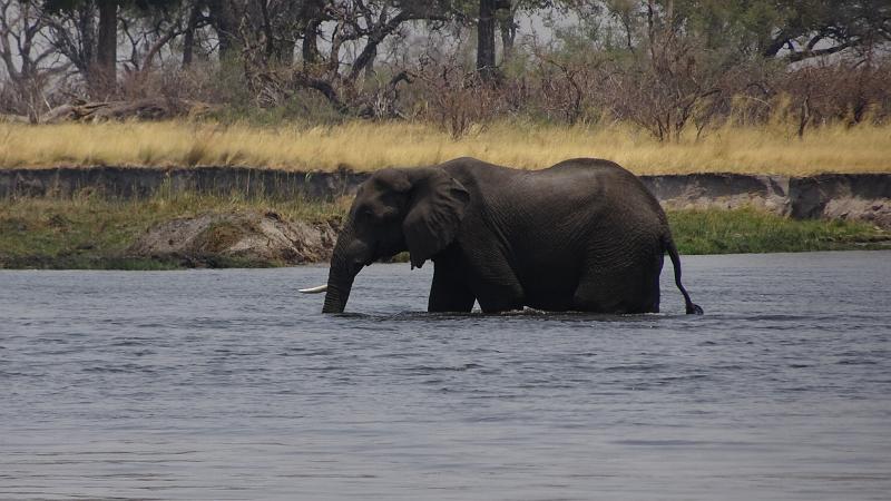 20160929_132819.JPG - 29.9. Overnight Bootst-Safari auf Kwando (Mashi River Safari)