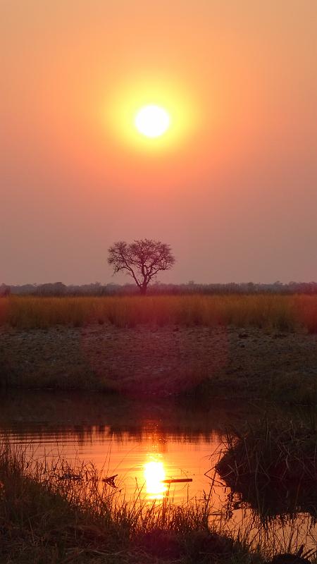 20160930_063504.JPG - 30.9. Sonnenaufgang Overnight Bootst-Safari auf Kwando (Mashi River Safari)