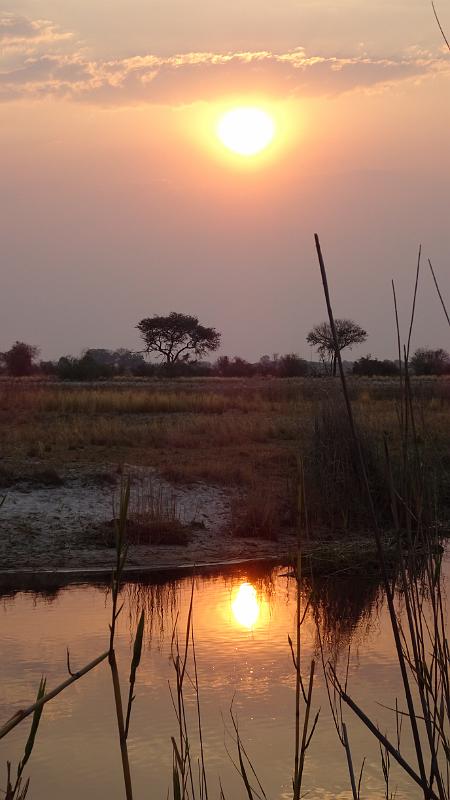 20160930_184732.JPG - 30.9. Sonnenaufgang Mavjune Campsite am Kwando