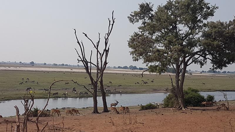 20161001_153109.jpg - 1.10. Chobe NP Riverfront - Ihaha Campsite
