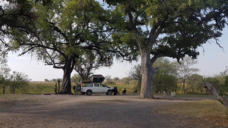 20161007_162936.jpg - 7.10. Elefant auf Third Bridge Campsite, Moremi GR, Okavanga Delta
