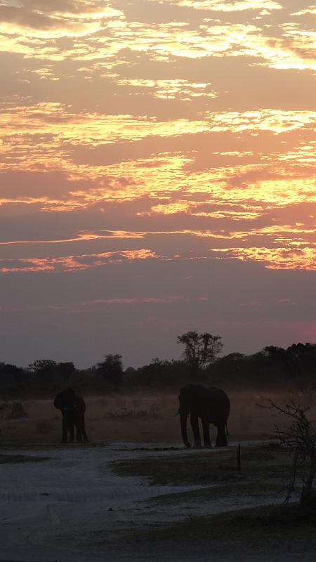 20161007_191703.JPG - 7.10. Sunset bei Third Bridge Campsite, Moremi GR, Okavanga Delta
