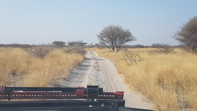 20161011_162206.jpg - 11.10. Track duech die Kalahari, Central Kalahari GR