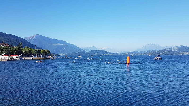 20170618_080119.jpg