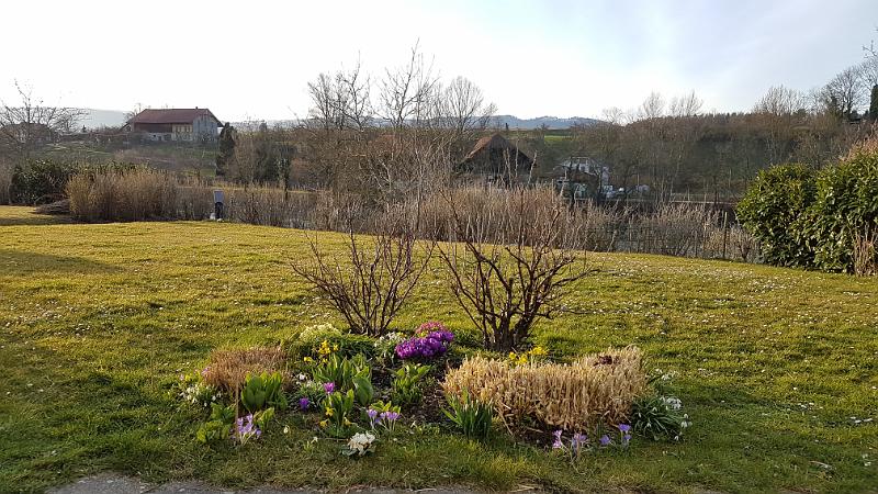 20170310_172544.jpg