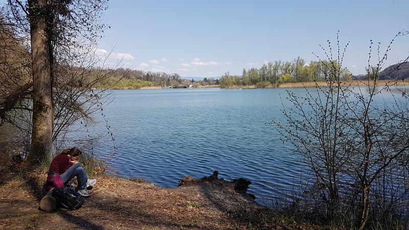 20170401_121229.jpg