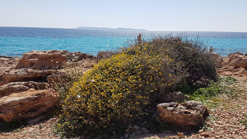 20170412_153805.jpg