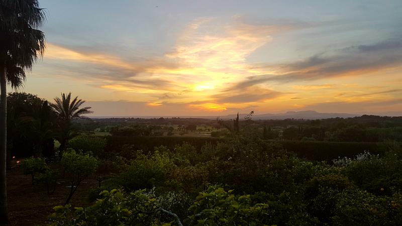 20170417_203053.jpg