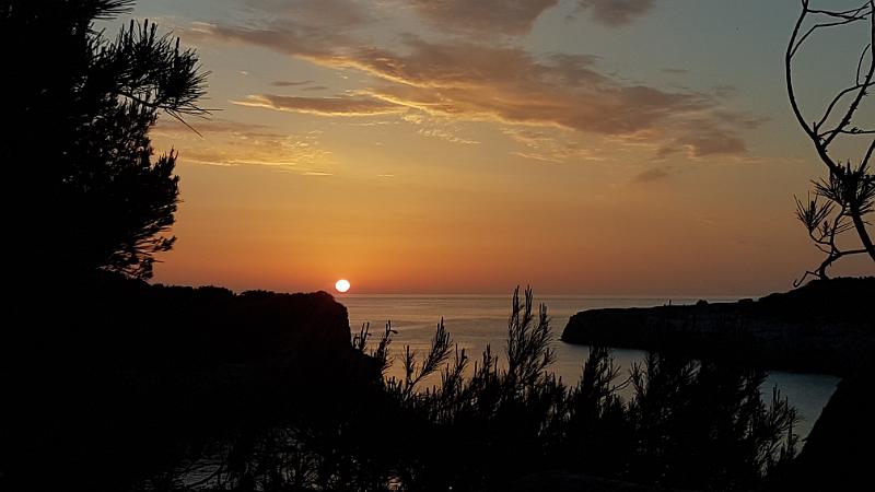 20170418_070836.jpg