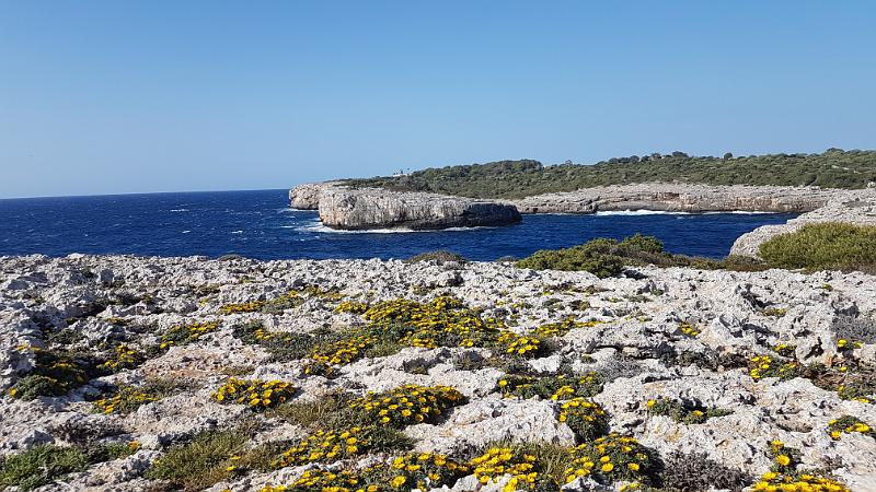 20170419_095315.jpg