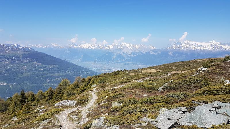 20170528_104907.jpg