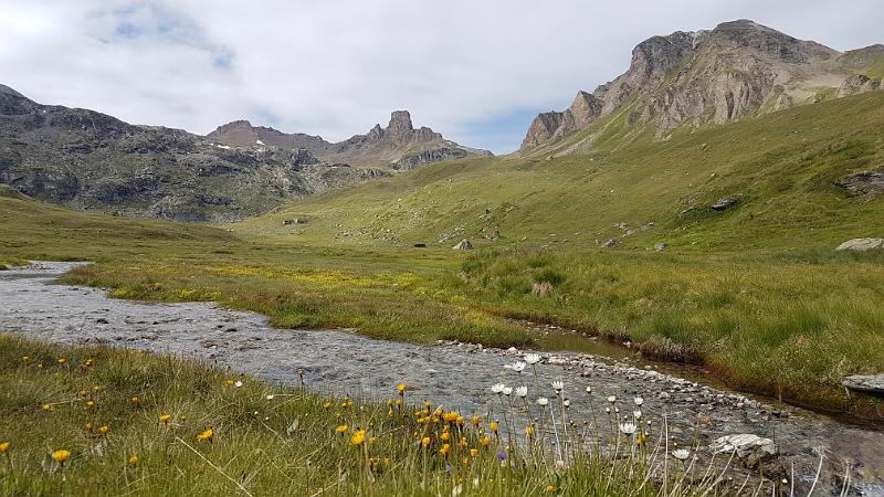 20170716_101652.jpg