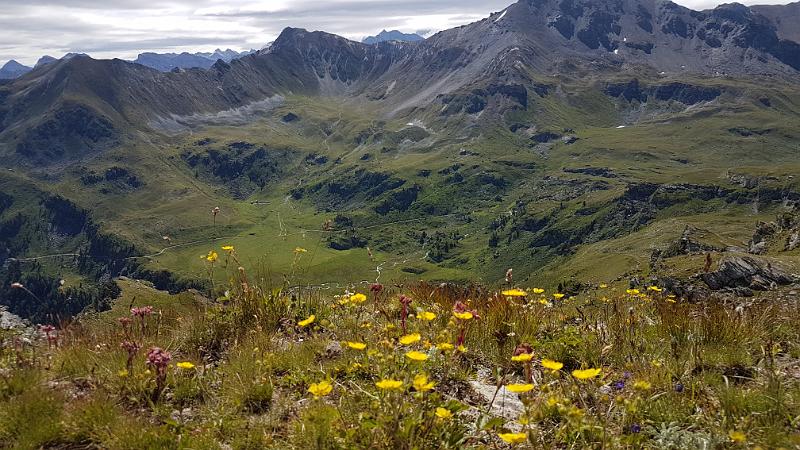 20170716_110406.jpg