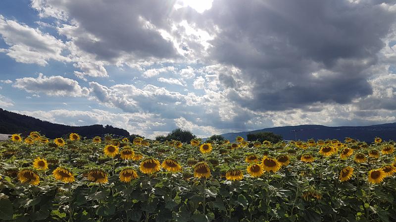 20170726_174442.jpg