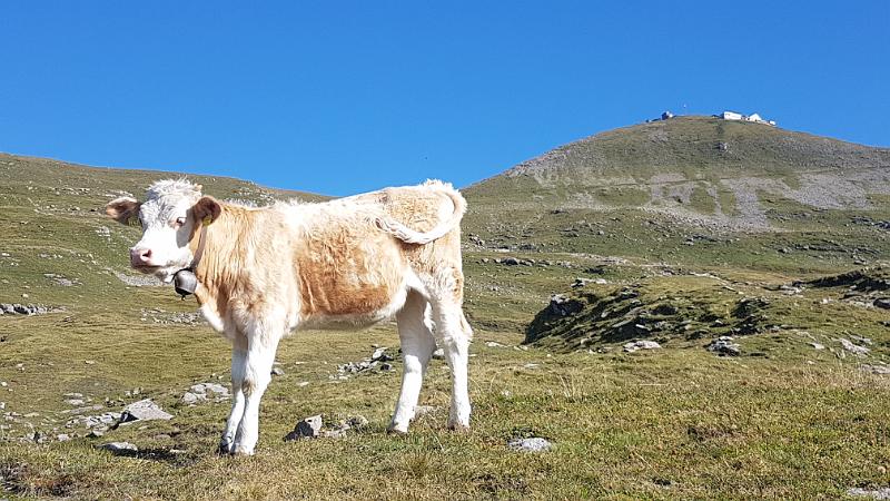 20170829_100941.jpg