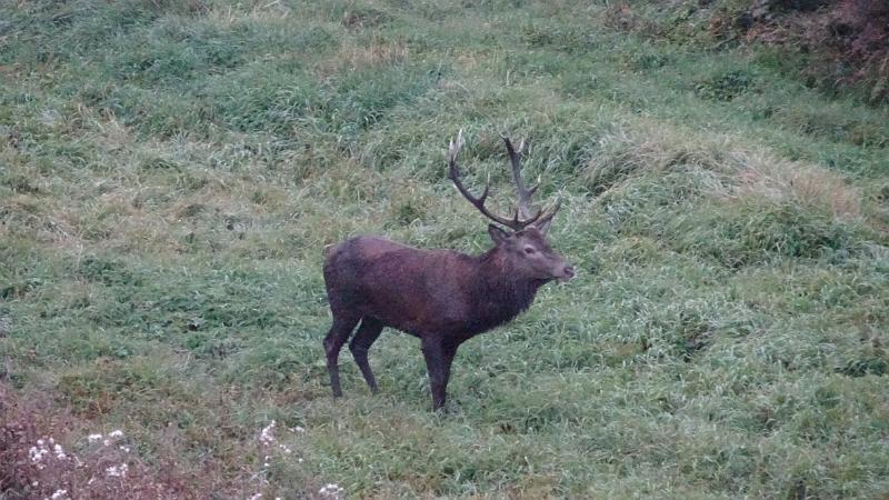 20170927_074439.jpg