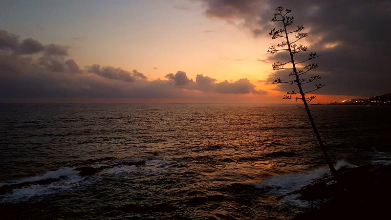 20171005_192742-1.jpg