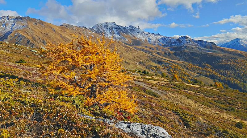 20171008_165717.jpg
