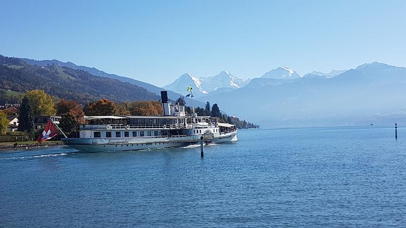 20171011_124951.jpg