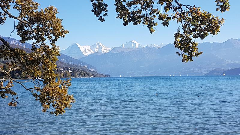 20171011_151205.jpg