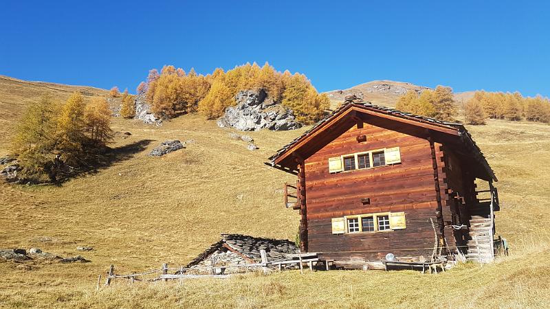 20171013_095929.jpg