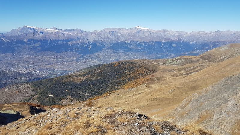 20171014_140037.jpg