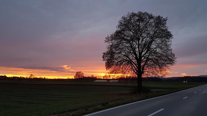 20171127_165006.jpg