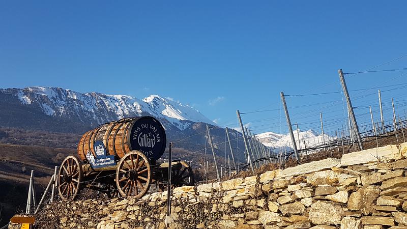20180209_163423.jpg