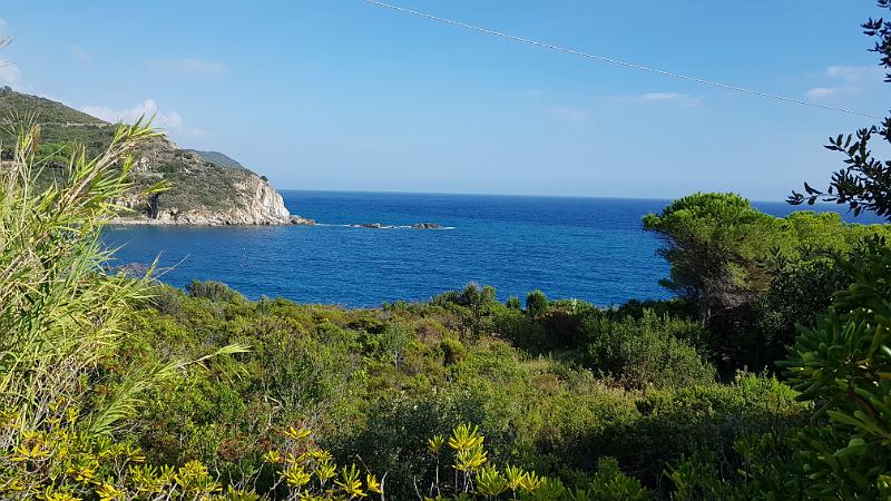 20180924_161305.jpg