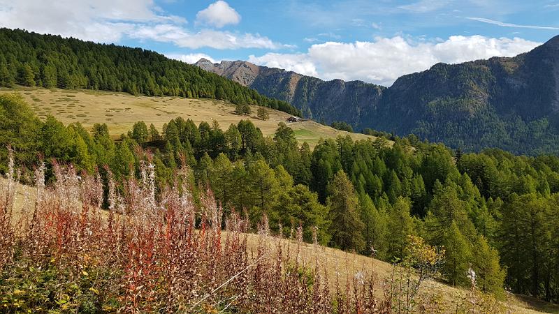 20181007_121205-1.jpg