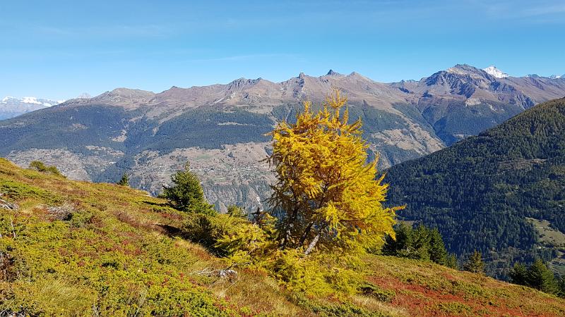 20181012_141220.jpg