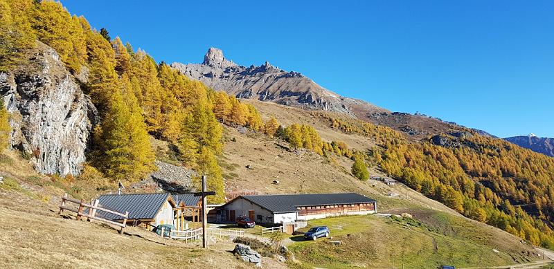 20181020_160507.jpg