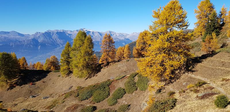 20181020_160746.jpg