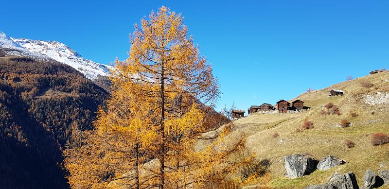 20181112_114709.jpg