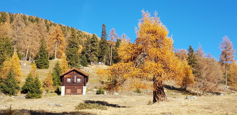 20181112_143327.jpg