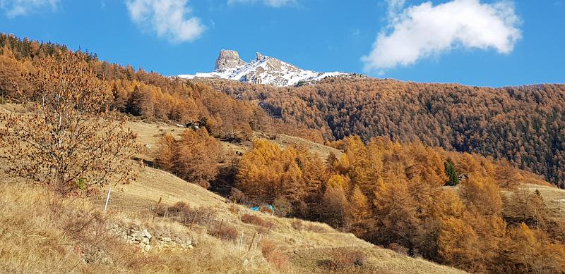 20181117_142422.jpg