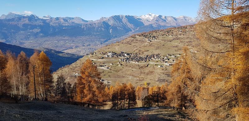 20181117_145445.jpg
