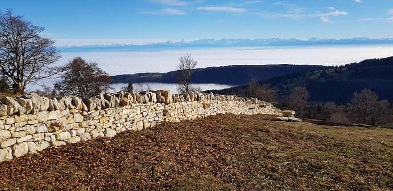 20181125_141331.jpg