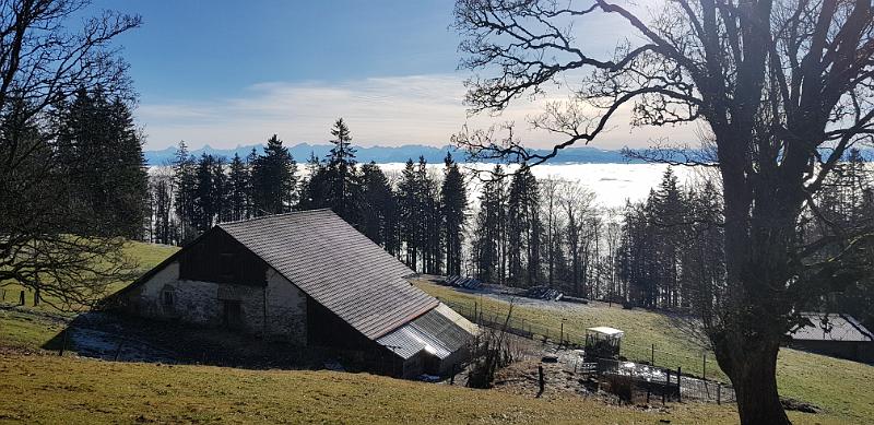 20181225_112257.jpg