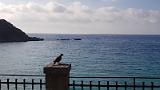 20180923_091849
