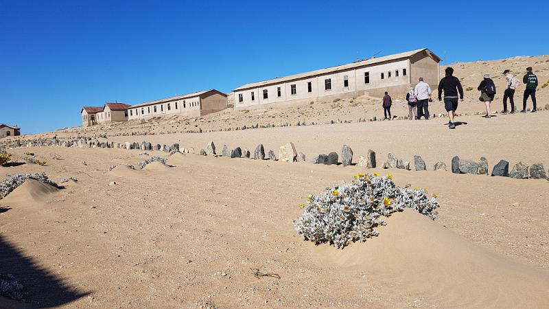 20190416_095856.jpg