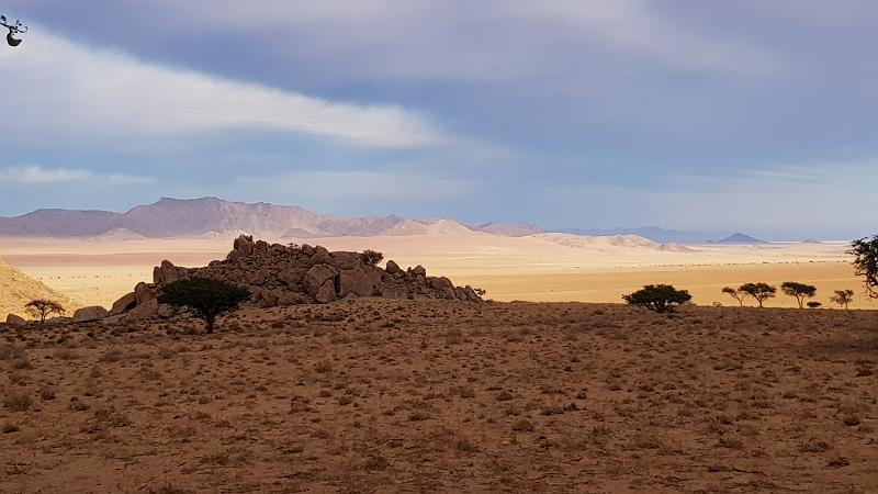 20190417_081533.jpg