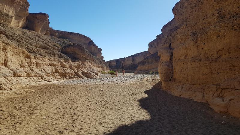20190418_161039.jpg
