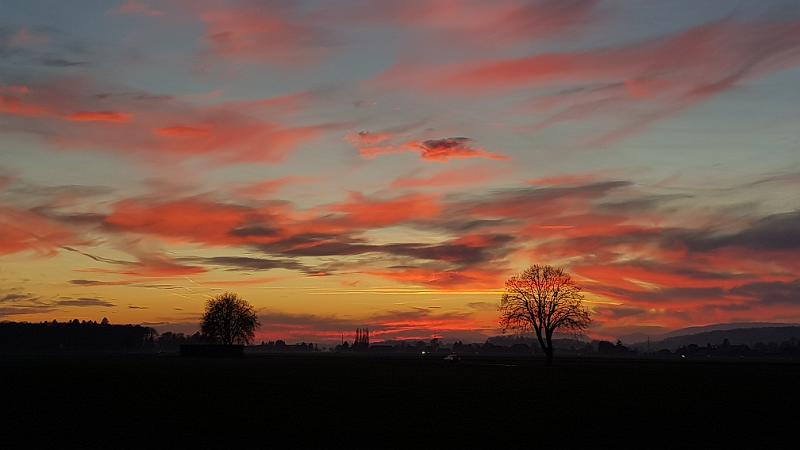 20190116_172312.jpg