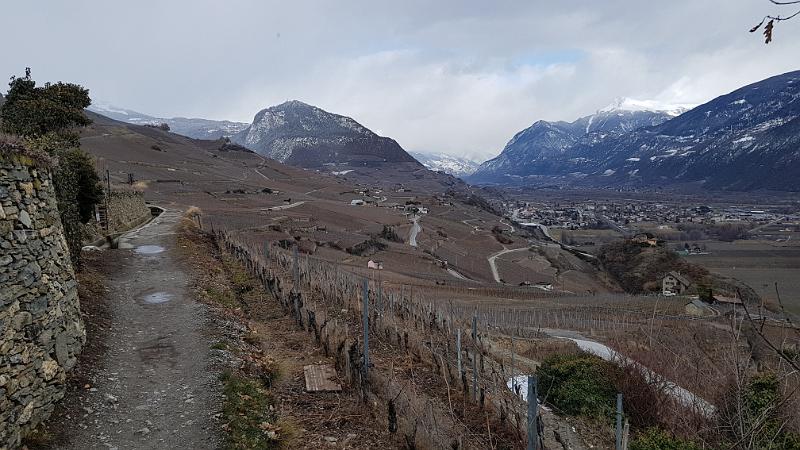 20190211_151151.jpg