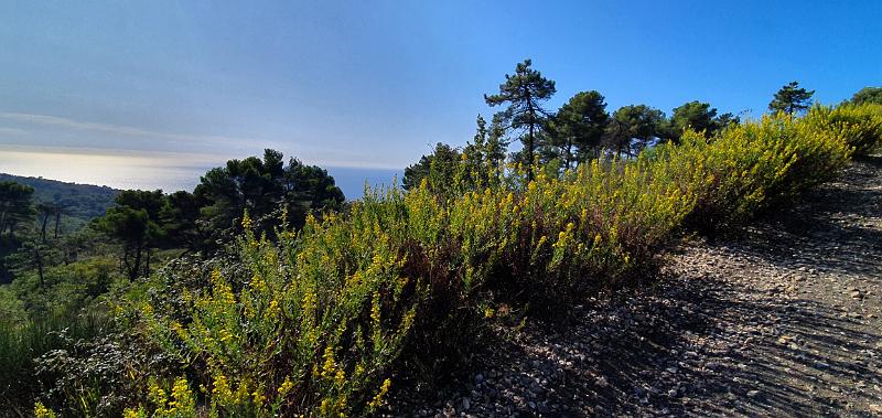 20191002_104055.jpg
