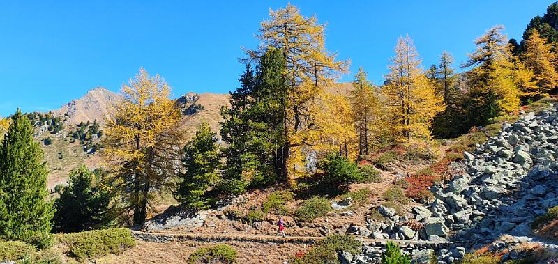 20191010_132651.jpg