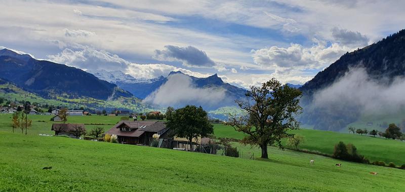 20191020_121047.jpg