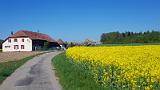 20190501_164531